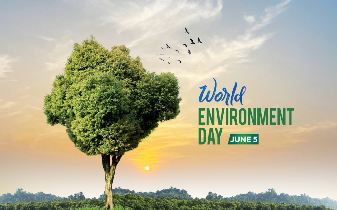 World Environment Day Focus: Achieving Water Saving with Smart Washroom Technology